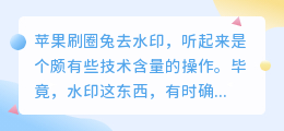 苹果刷圈兔去水印,详细步骤是怎样的?如何操作?