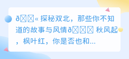 🔥双北之旅:揭秘360°全方位风情,邂逅千年故事与浪漫✨