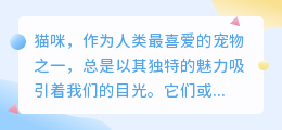 猫咪图片文案提取：用文字捕捉那一瞬的温柔与灵动，感受猫咪的独特魅力！