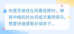 轻松提取视频文案,神秘软件助你一键搞定!高效、准确,你值得拥有!