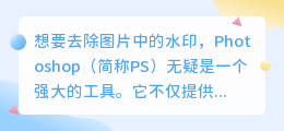 PS去水印技巧大揭秘:轻松清除瑕疵,让图片焕发原彩!
