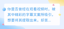 【实用干货】仅需四步，轻松搞定视频字幕提取，爱字幕工具助你轻松提取心仪文案！