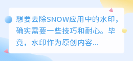 去除SNOW应用水印，有哪些技巧可以尝试？这些方法真的有效吗？