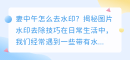 妻中午去水印技巧揭秘：专业软件、在线工具、手机APP任你选