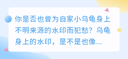 乌龟身上的水印如何去除?养龟达人来支招!