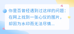 想知道怎么快速去除图片水印吗?迟毛豆软件来帮你,一键搞定!