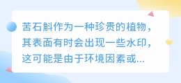 苦石斛表面水印如何处理？专家支招让你轻松恢复美观与价值！