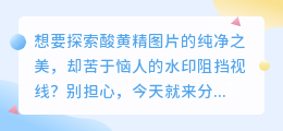 如何轻松去除酸黄精图片水印?这些小妙招让你秒变图片处理高手!