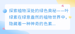 揭秘叶绿素:绿色心脏驱动生命,光合作用奥秘探索之旅