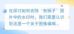 去除救猴子图片水印,掌握这些方法,图像编辑不再是难题!