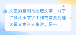 【干货】一文解锁文案复制与文字提取技巧,助你高效处理文本,避免版权风险
