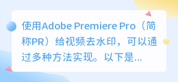 这些方法你用过几种？轻松掌握Adobe Premiere Pro去水印技巧！