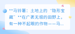马铃薯:深藏不露的化学宝库,科研新宠解锁无限健康奥秘