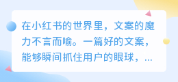 文案神器提取器揭秘:小红书创作者如何轻松抓取文案灵感?