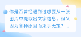 115提取图片文案：高效OCR技术，一键提取图片中文字，省时又准确！