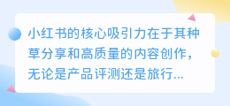 怎样创建一个优质的小红书账户，应注意哪些关键点？