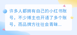 探索小红书点赞数与粉丝量的关系——洞察账号运营策略