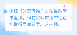 如何在小红书上成功开店并有效推广？